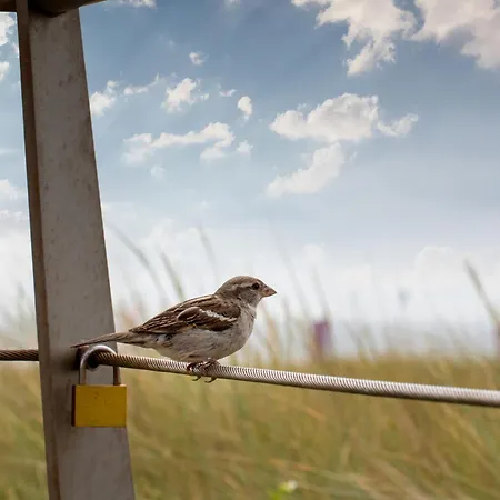 Lovina House By Urban * Egmond aan Zee