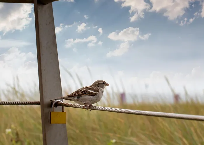 Lovina House By Urban * אגמונד אן זי